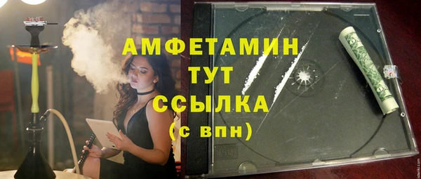 шишки Новозыбков