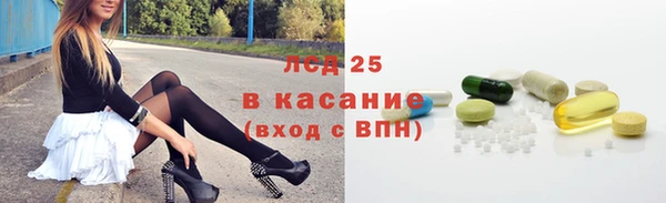 шишки Новозыбков