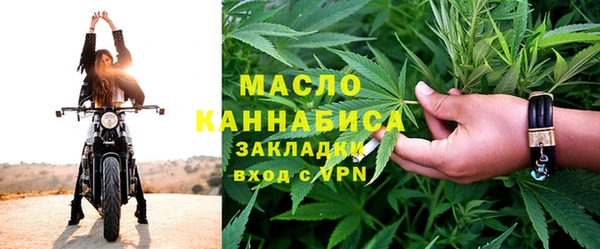 шишки Новозыбков