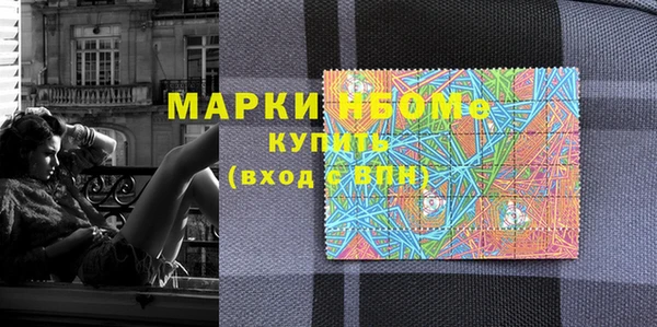 шишки Новозыбков
