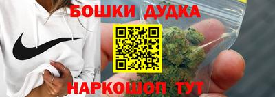 тгк Кингисепп