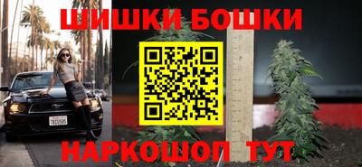 тгк Кингисепп
