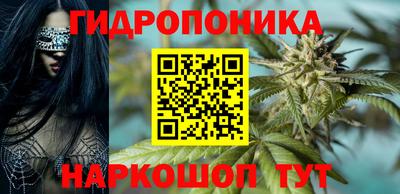 трава Кимры