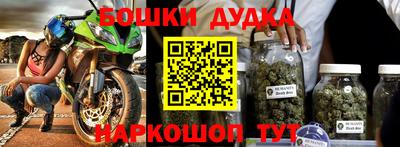 тгк Кингисепп