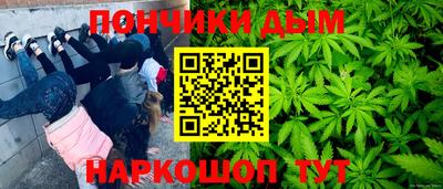 тгк Кингисепп