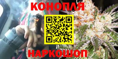 тгк Кингисепп