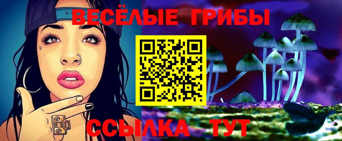 Галлюциногенные грибы GOLDEN TEACHER Новоалександровск