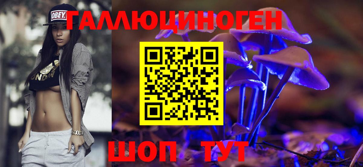 НБОМе Новоалександровск