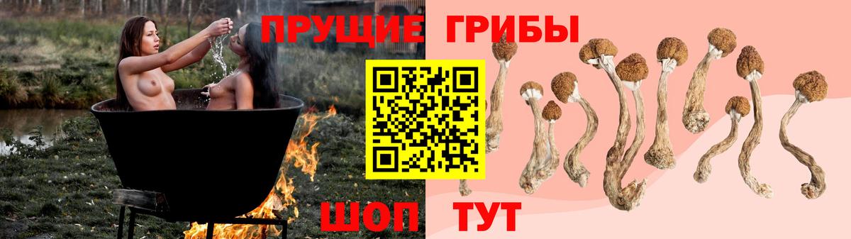 Галлюциногенные грибы Cubensis Новоалександровск